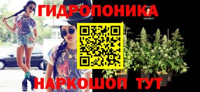 соль ск Бийск
