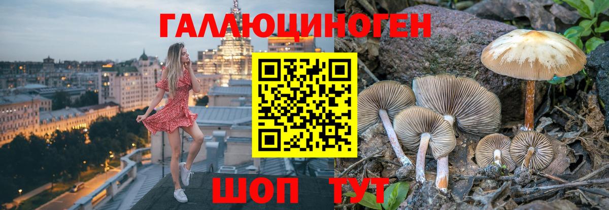 Галлюциногенные грибы ЛСД Ипатово